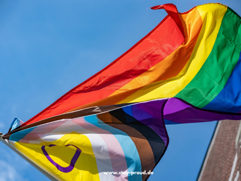 progress-pride-flagge